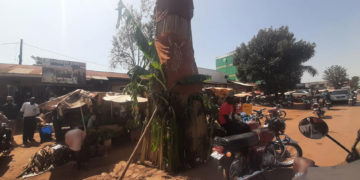 Thousands await Kabaka Mutebi at St Mary’s Kitende for the Masaza Cup final.