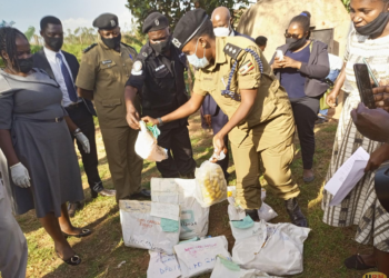 Police officer sorting and counting out the drugs before being destroyed. (IMAGE: URN )