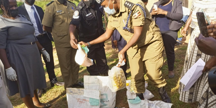 Police officer sorting and counting out the drugs before being destroyed. (IMAGE: URN )